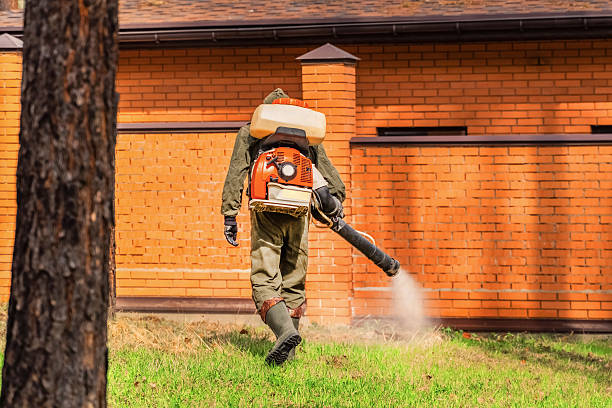 Top rated local Wasp Removal specialists in Grangeville, ID